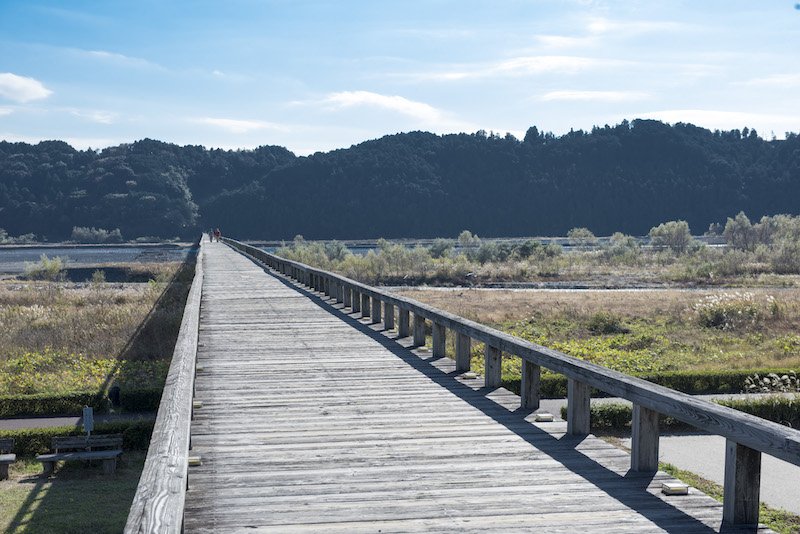 🚂 오이가와 철도 오이가와 제1교량 (오이가와테츠도 오이가와 다이이치쿄료) 이미지 1